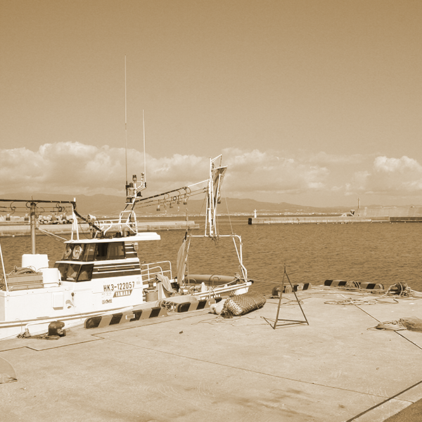 Category Image