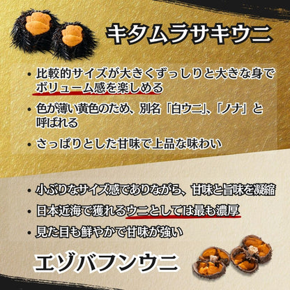 北海道産 キタムラサキウニ極上 塩水うに