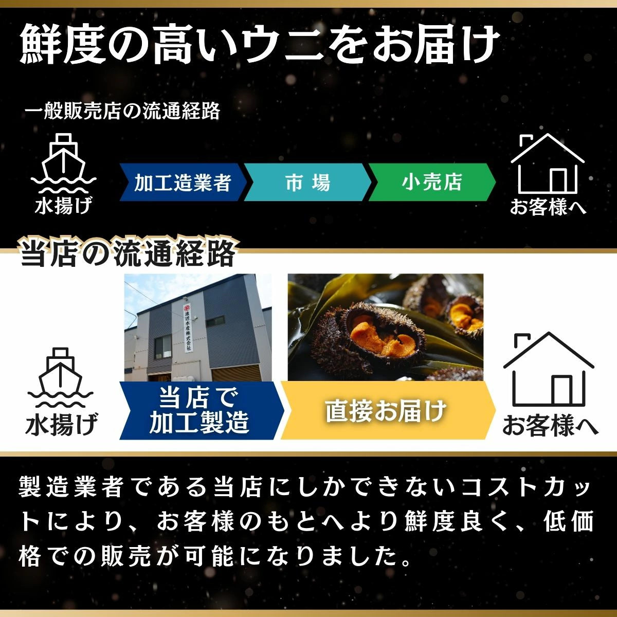 北海道産 エゾバフンウニ極上 塩水うに
