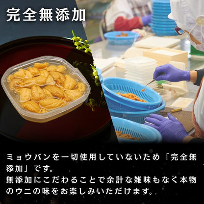 北海道産 キタムラサキウニ極上 塩水うに