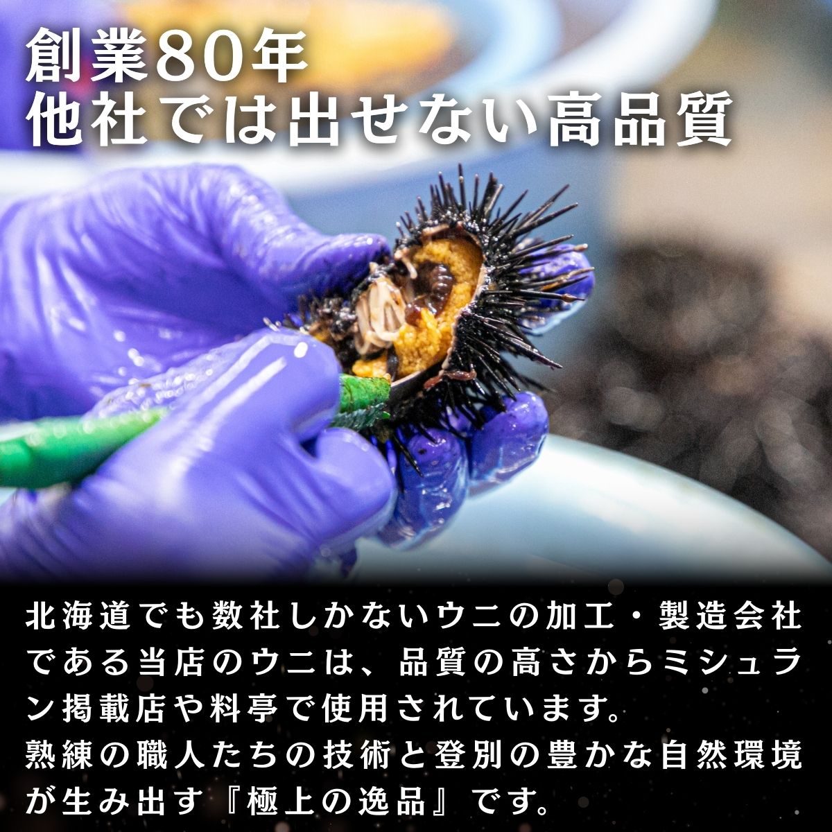 北海道産 キタムラサキウニ極上 塩水うに