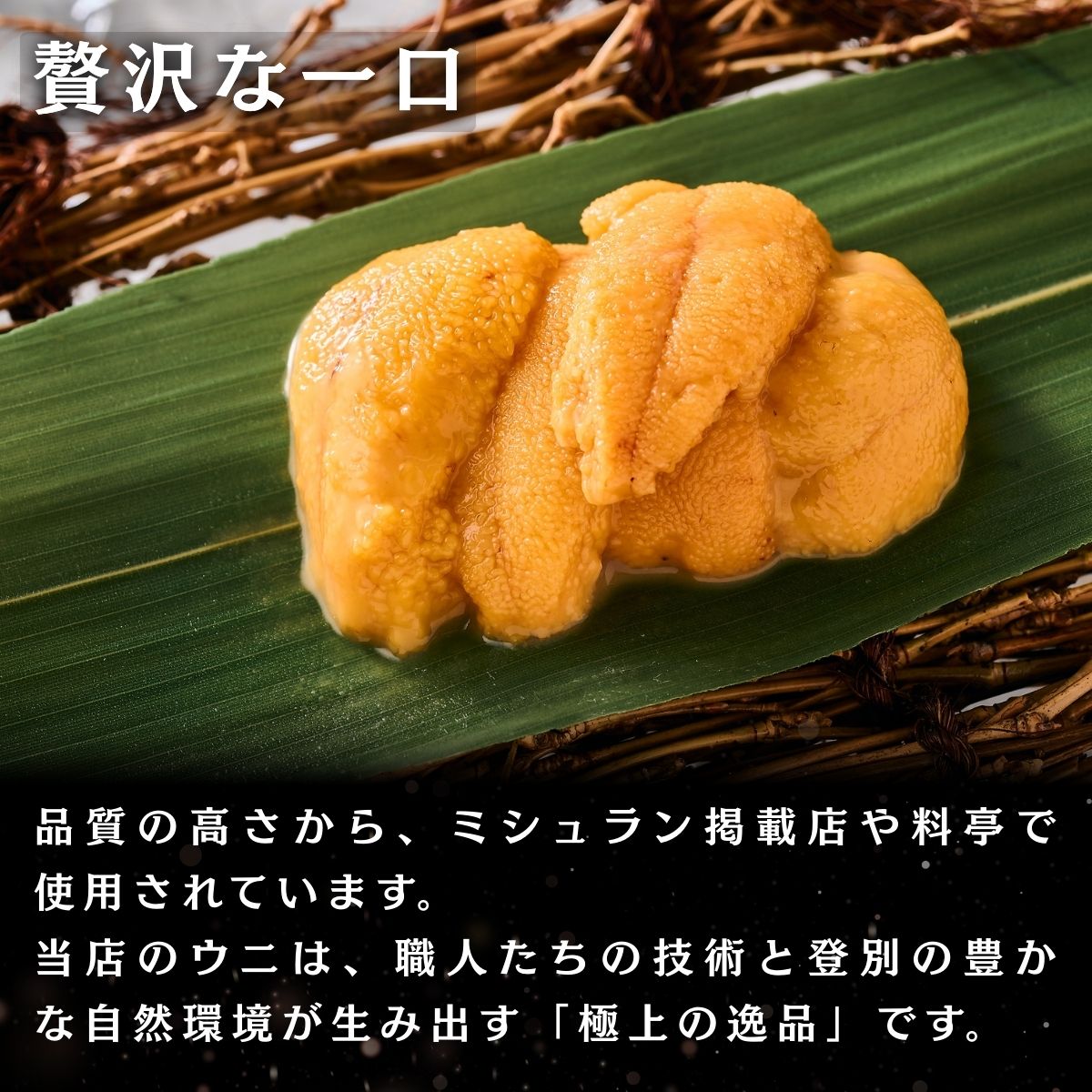 北海道産 キタムラサキウニ 特選生うに折詰め