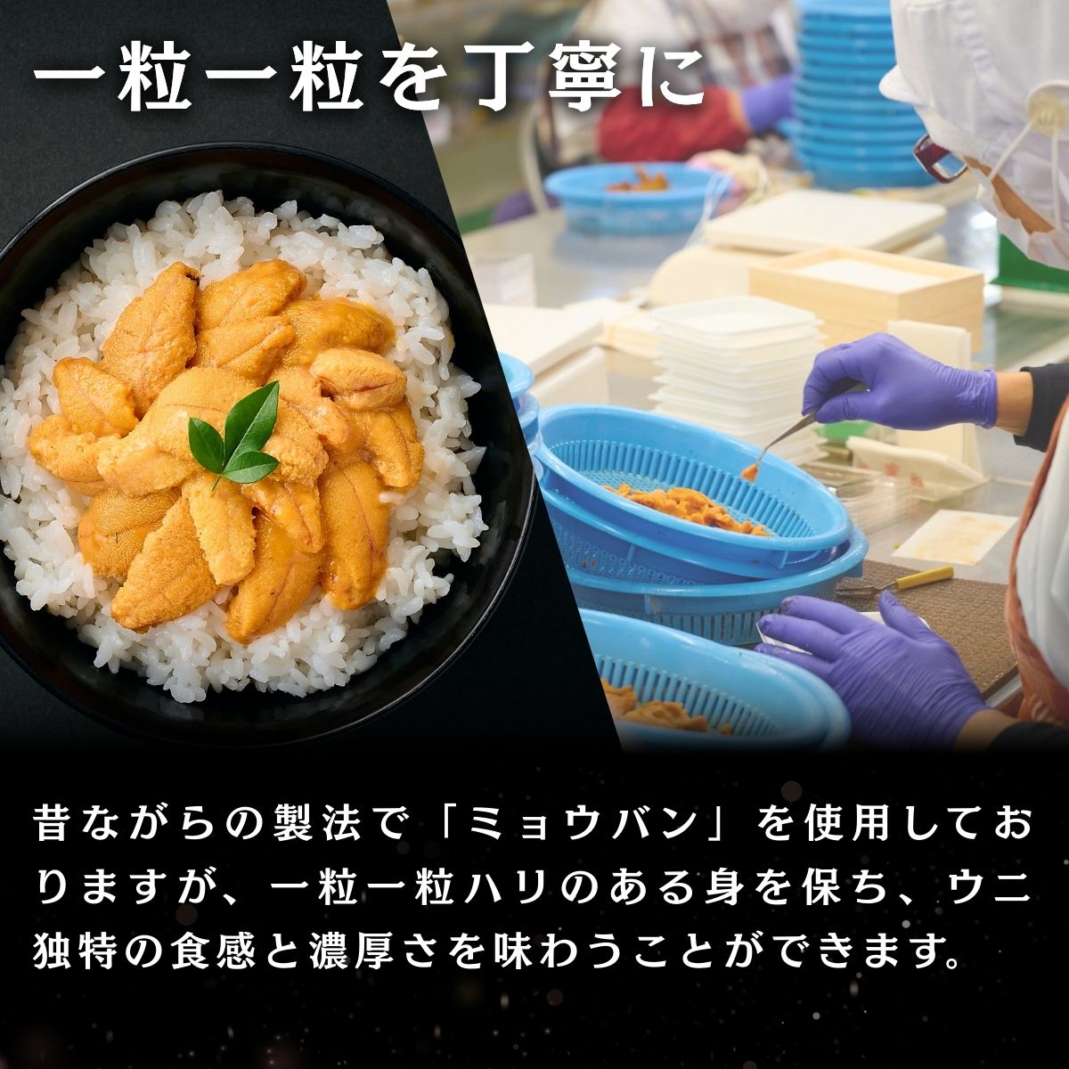 北海道産 キタムラサキウニ 特選生うに折詰め